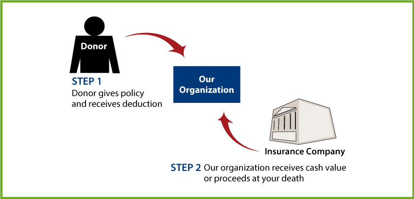 Life Insurance Policy Diagram